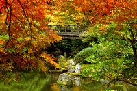 Bridge through the leaves