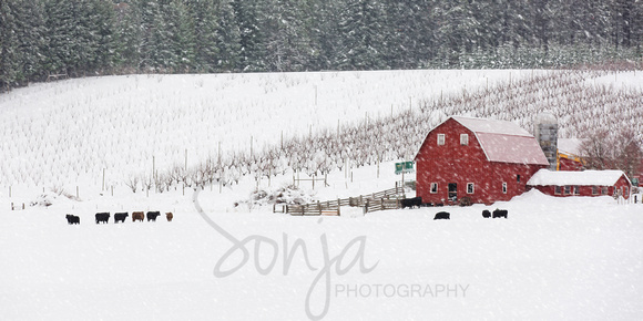 Winter Farm