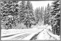 Road to Winter Wonderland