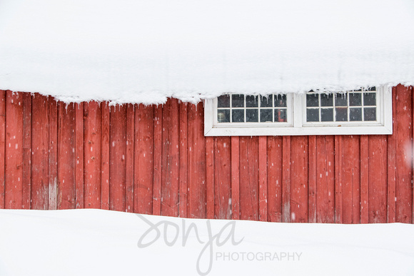 Red & White